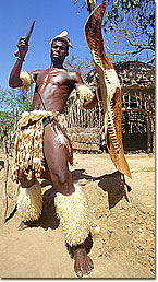 zuluwarrior