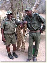 knp_guides