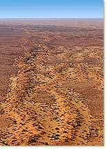 Kalahari Dünenketten
